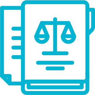Case Process